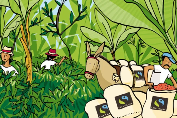 Illustrasjon av tre arbeidere som høster røde bær i en frodig grønn skog med kurver merket "Puro fairtrade", assistert av et esel.