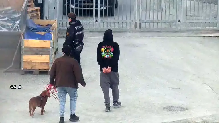To sikkerhetspersonell på stedet og en hund i et industriområde; en person i en svart hettegenser med fargerikt trykk på ryggen, den andre i jakke, begge går, tilsynelatende i en samtale.